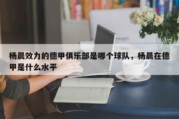 杨晨效力的德甲俱乐部是哪个球队,杨晨在德甲是什么水平