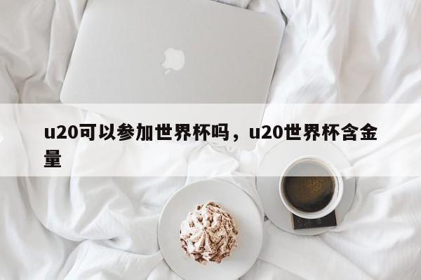 u20可以参加世界杯吗,u20世界杯含金量