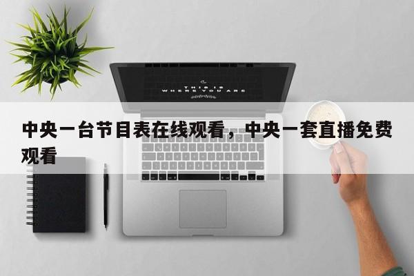 中央一台节目表在线观看,中央一套直播免费观看