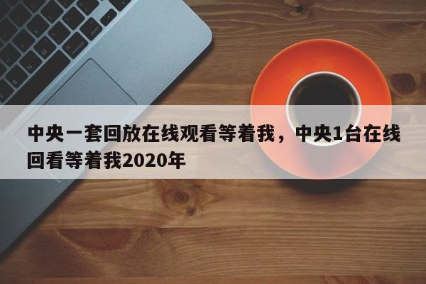 中央一套回放在线观看等着我,中央1台在线回看等着我2020年