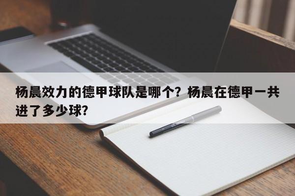 杨晨效力的德甲球队是哪个?杨晨在德甲一共进了多少球?
