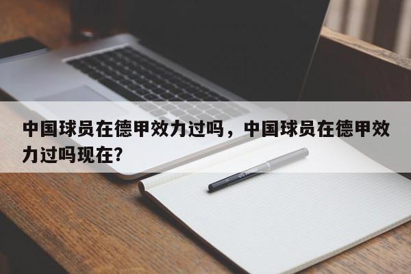 中国球员在德甲效力过吗,中国球员在德甲效力过吗现在?