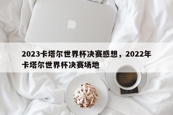 2023卡塔尔世界杯决赛感想，2022年卡塔尔世界杯决赛场地