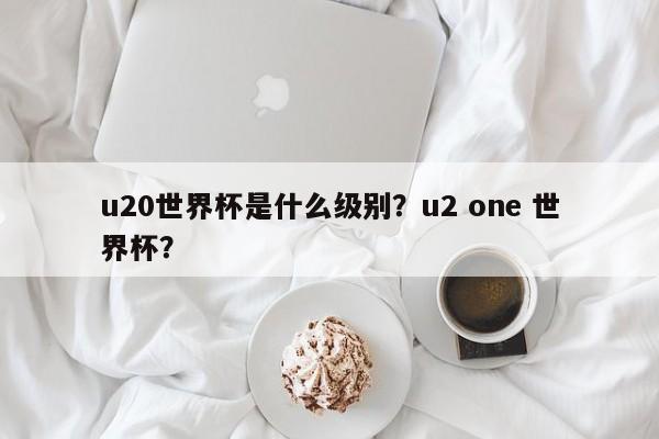 u20世界杯是什么级别？u2 one 世界杯？