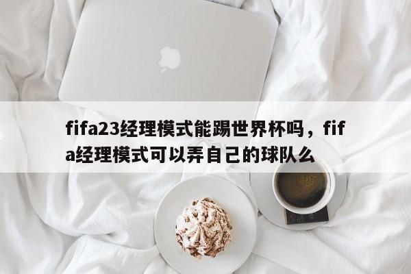 fifa23经理模式能踢世界杯吗，fifa经理模式可以弄自己的球队么