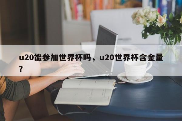 u20能参加世界杯吗，u20世界杯含金量？