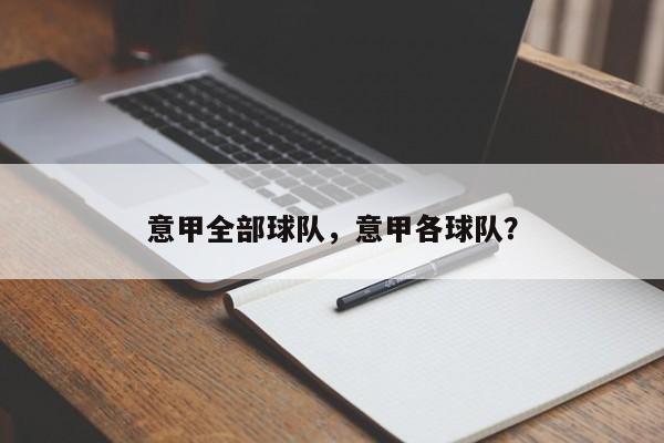 意甲全部球队，意甲各球队？