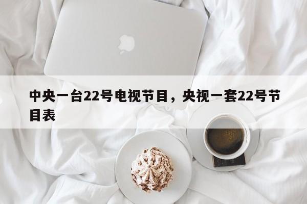 中央一台22号电视节目，央视一套22号节目表