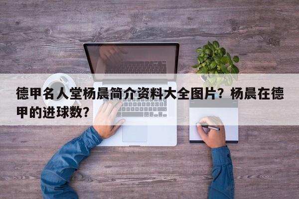 德甲名人堂杨晨简介资料大全图片?杨晨在德甲的进球数?
